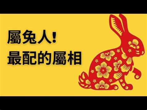 屬兔婚配|生肖配對：屬兔的和什麼屬相最配？不論男女都來看看。